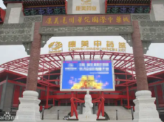 亳州康美中药城